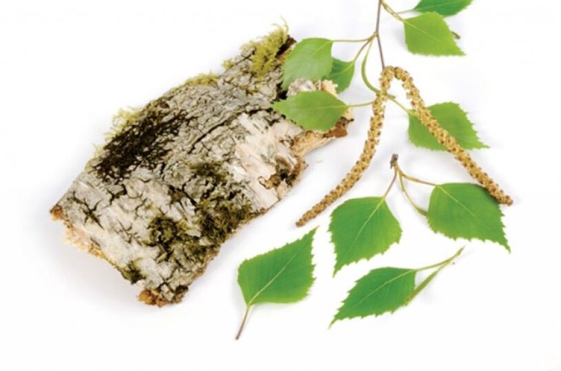 betulla bianca - elemento di composizione Keramin